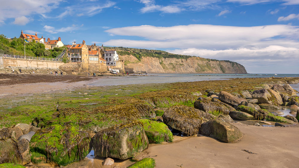 Dog Friendly Beaches 7 Seaside Cottages For Four Legged Friends