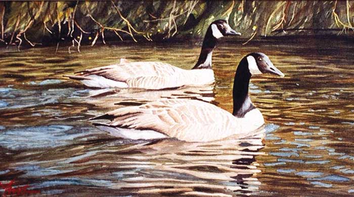 geoff butterworth geese