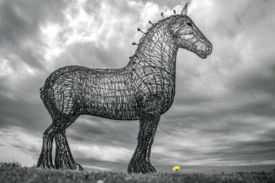 Horse by Peter Redford