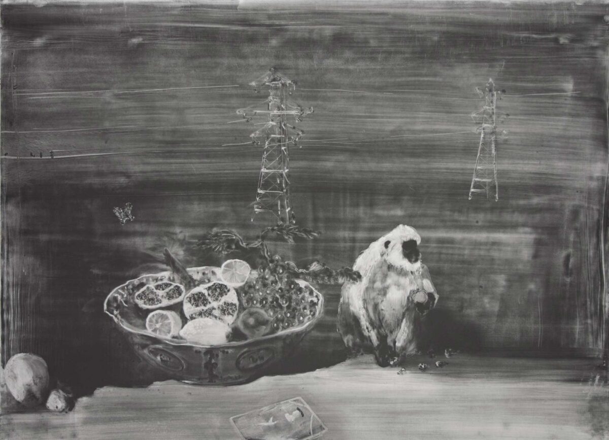 Christopher Cook Forbidden Fruit 72 x 102cm Graphite on coated paper