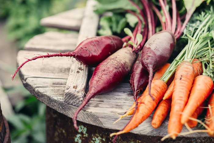 allotment tips