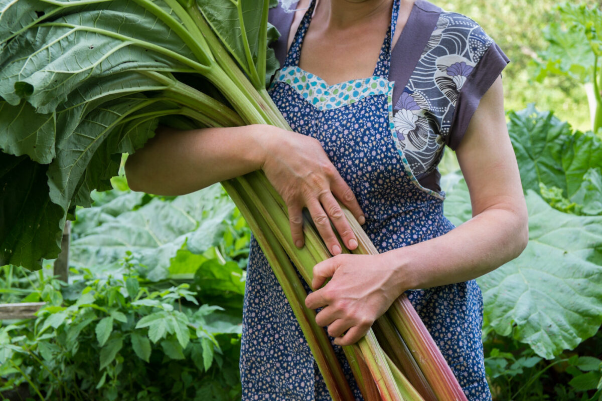 Woman holding rhubarb