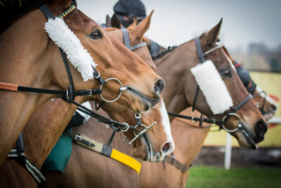 Horse Racing in the UK