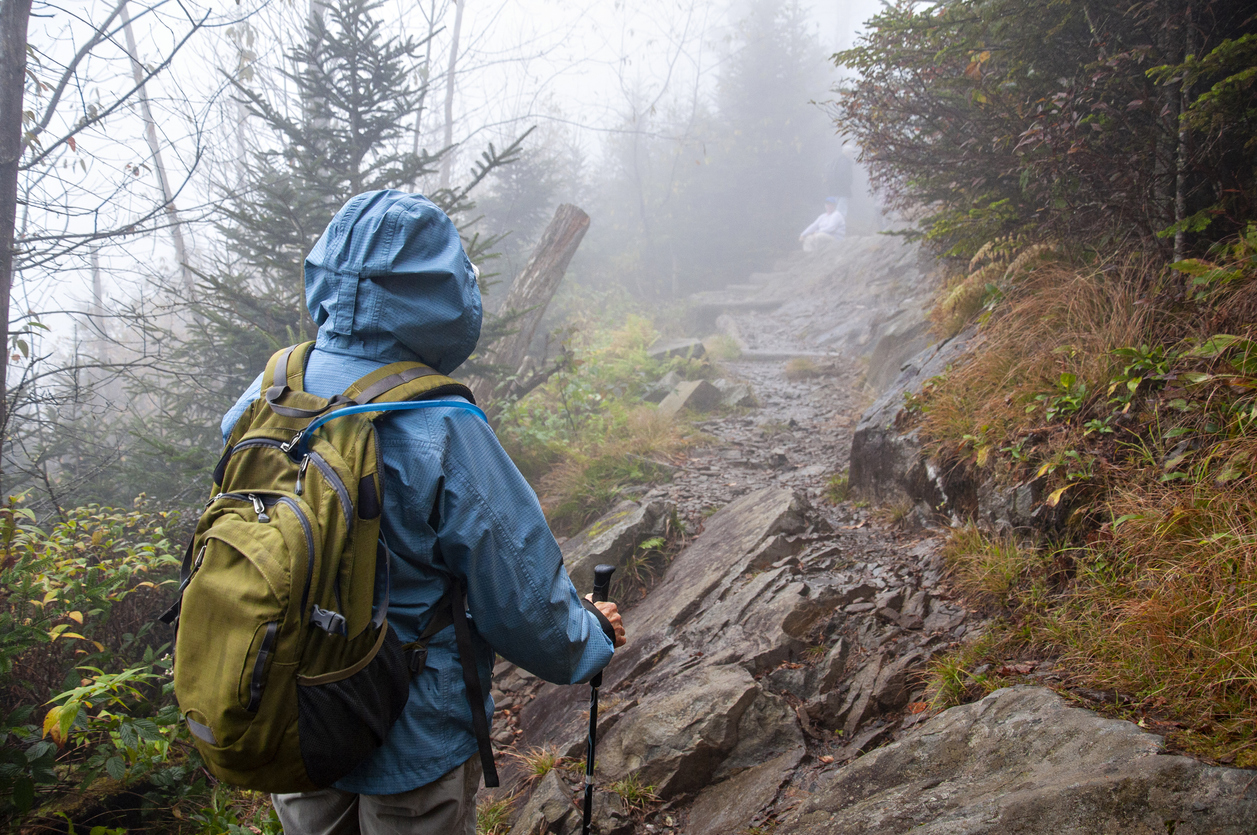 A hiker explores the rainy trails