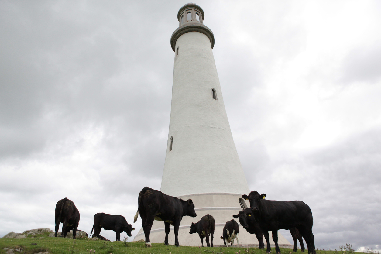 Hoad Monument