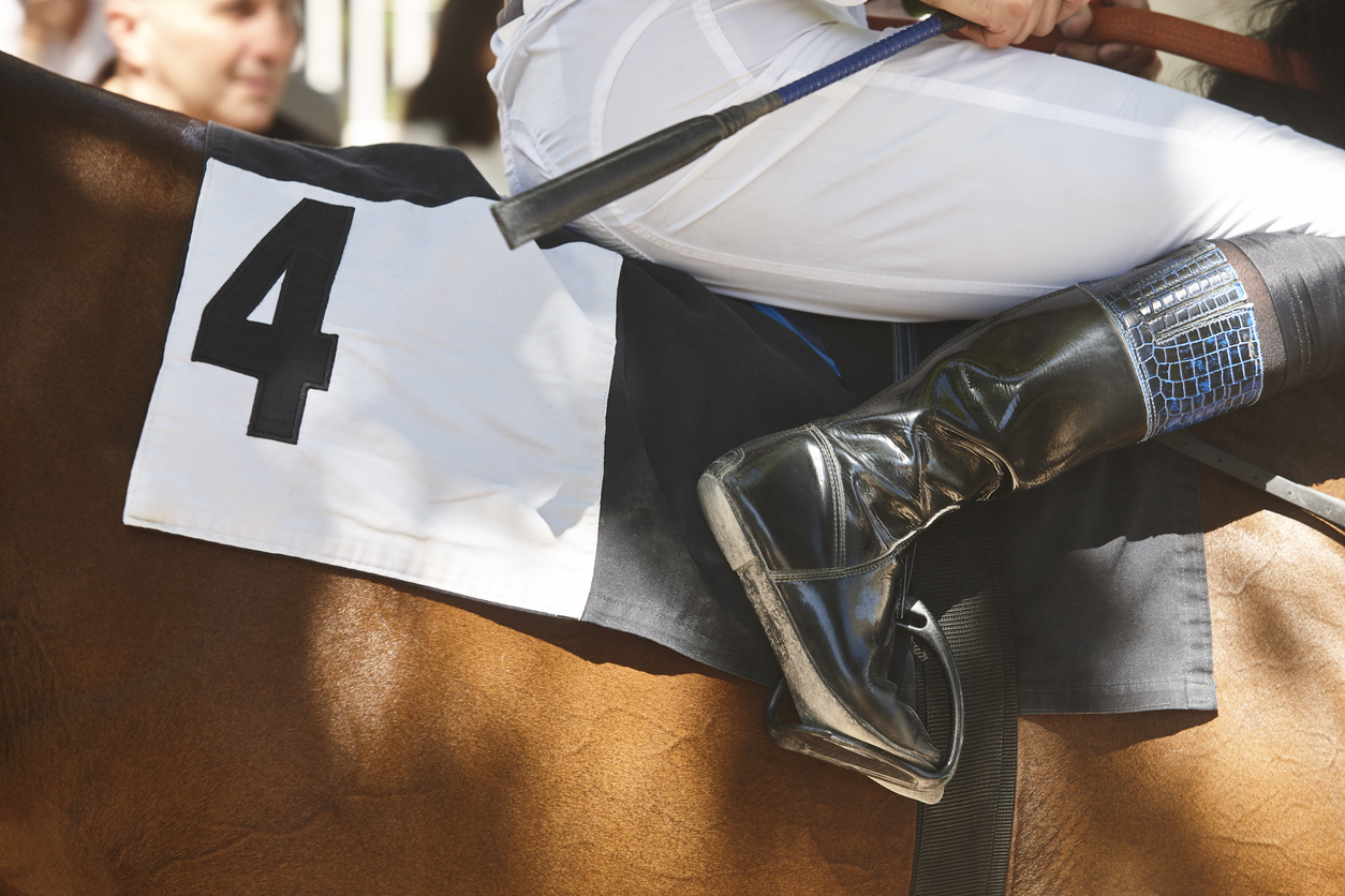  Race horse with jokey detail. Purebred in the hippodrome. Derby