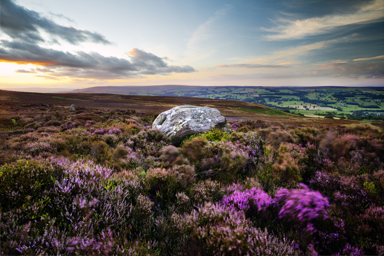 Ilkley Moor
