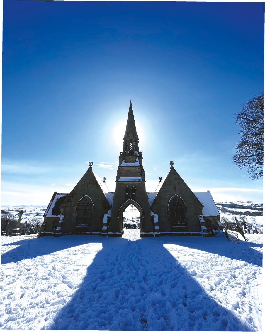 SNOW ANGEL • STEWART COLEMAN