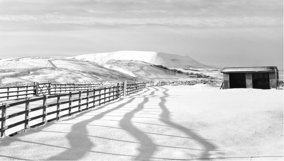 SNOWY PENDLE • ZOE HODKINSON