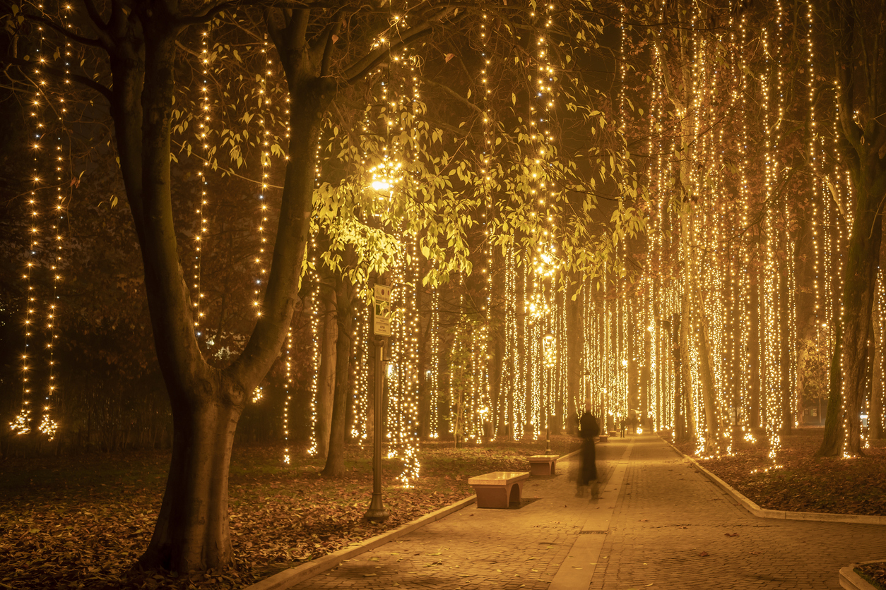 Illuminated Christmas events 