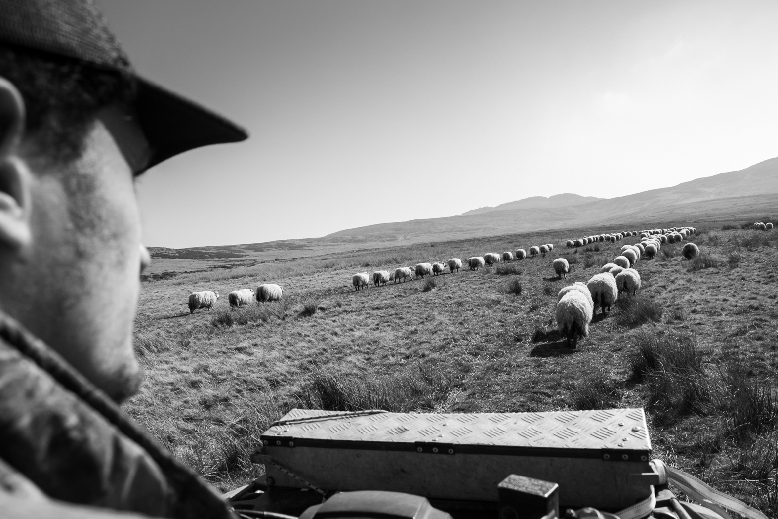 Credit: Mike Abrahams/Photo North FestivalFrom the series: Where The Carneddau Meets The Sea