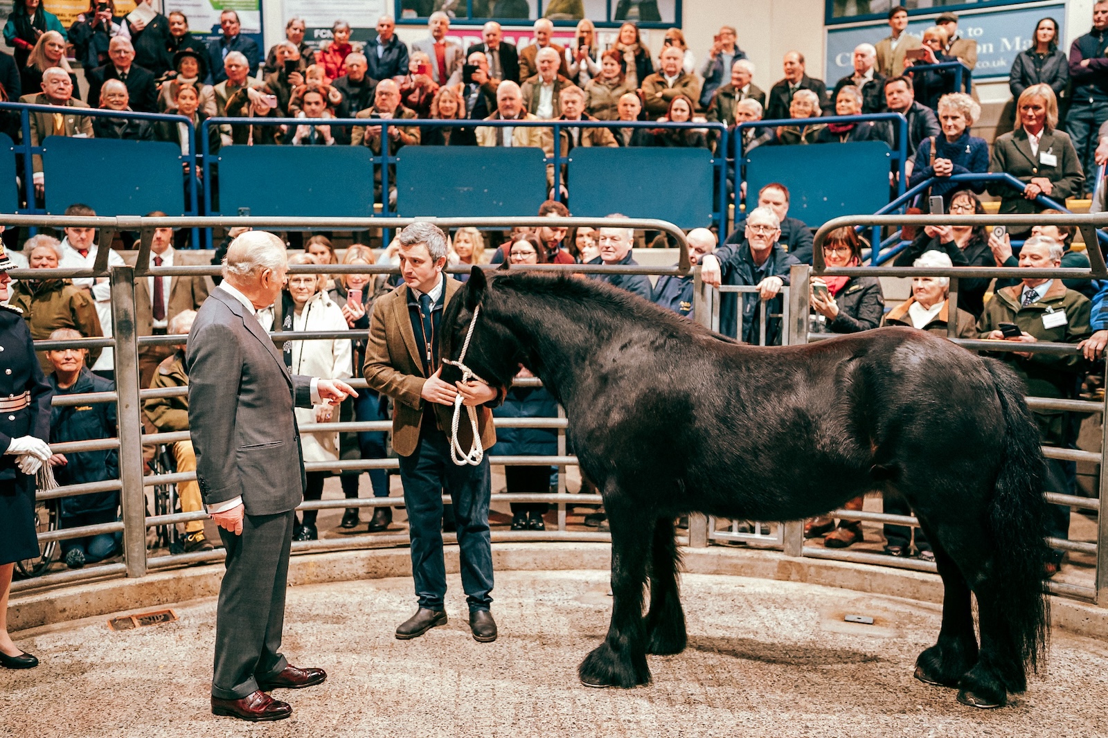 THE KING MET PEARL, A RELATIVE OF THE LATE QUEEN’S FELL PONY EMMA