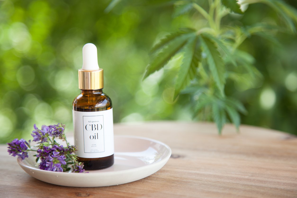 CBD Cannabis Oil (cannabidiol) bottle and dropper on small plate atop wooden surface. Fresh flowers on plate. Cannabis plant out of focus in background.