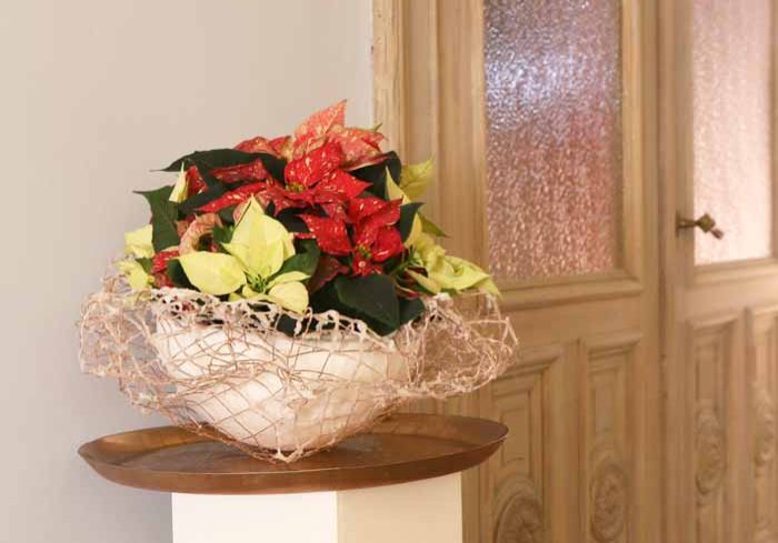 Poinsettia Copper Basket