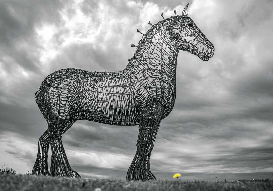 Horse by Peter Redford