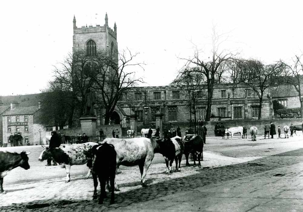 Skipton cattle fair 1900