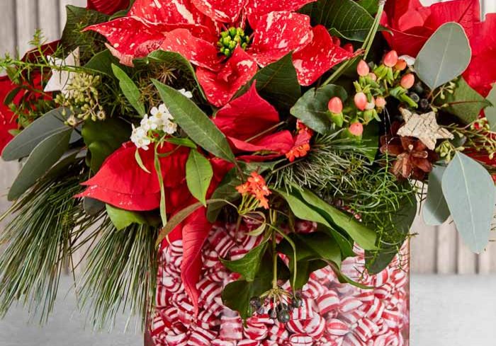 Poinsettia Sweet Treats