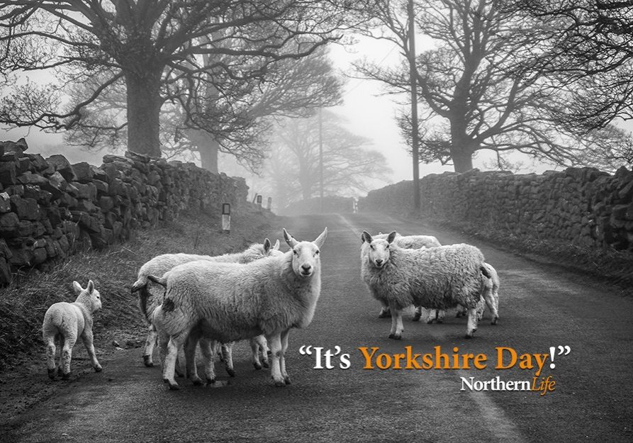 It's Yorkshire Day