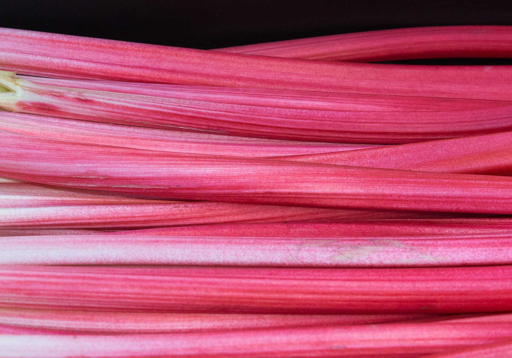 Forcing rhubarb