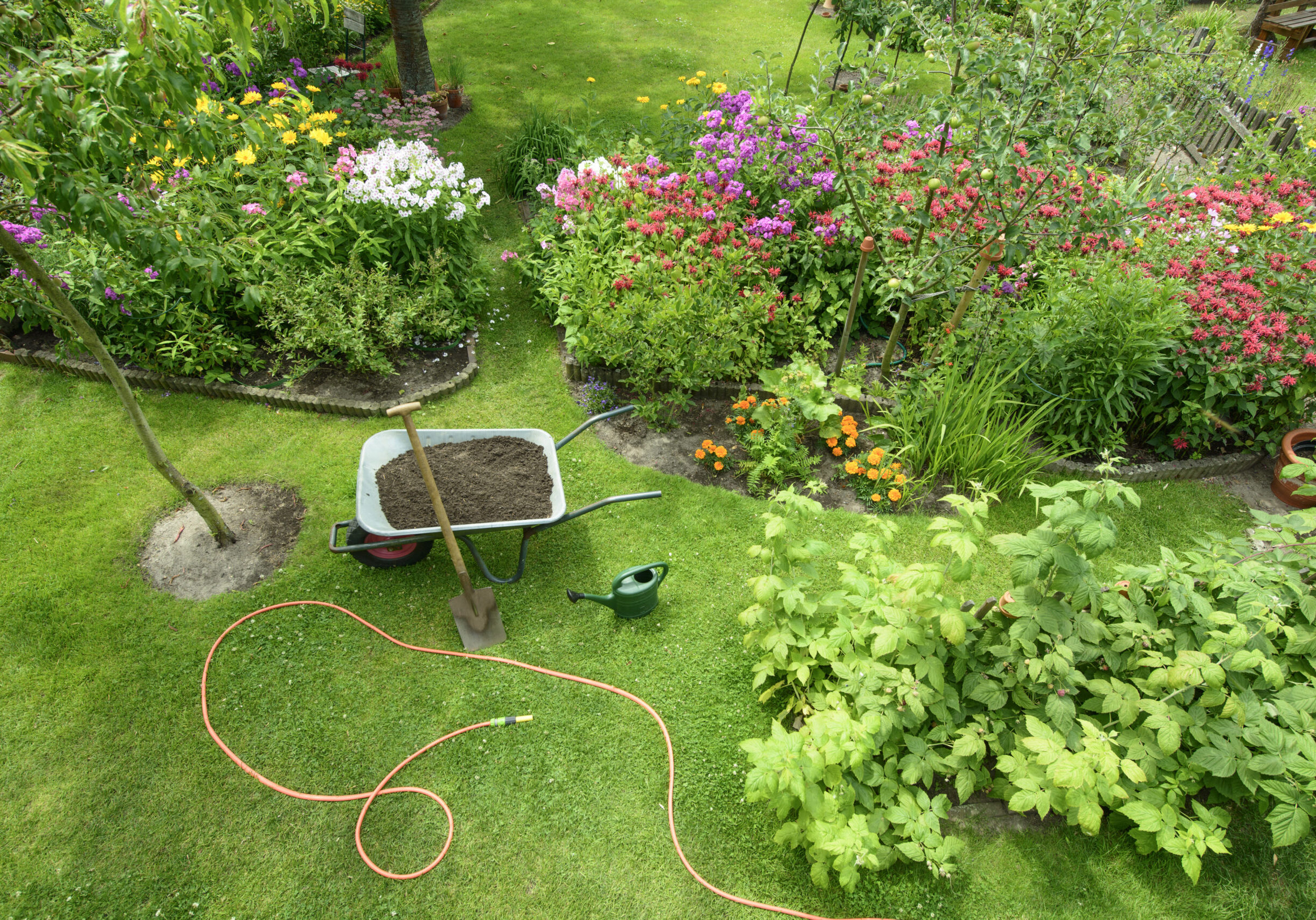 Garden - elevated view