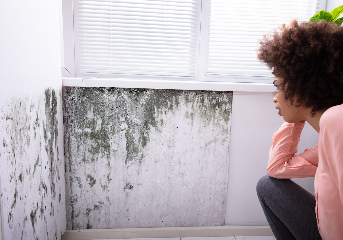 Side View Of A African Young Woman Looking At Mold On White Wall