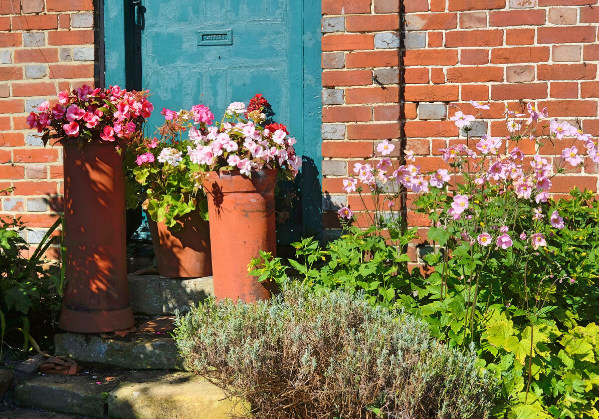 Pot plants outside a turquoise front door