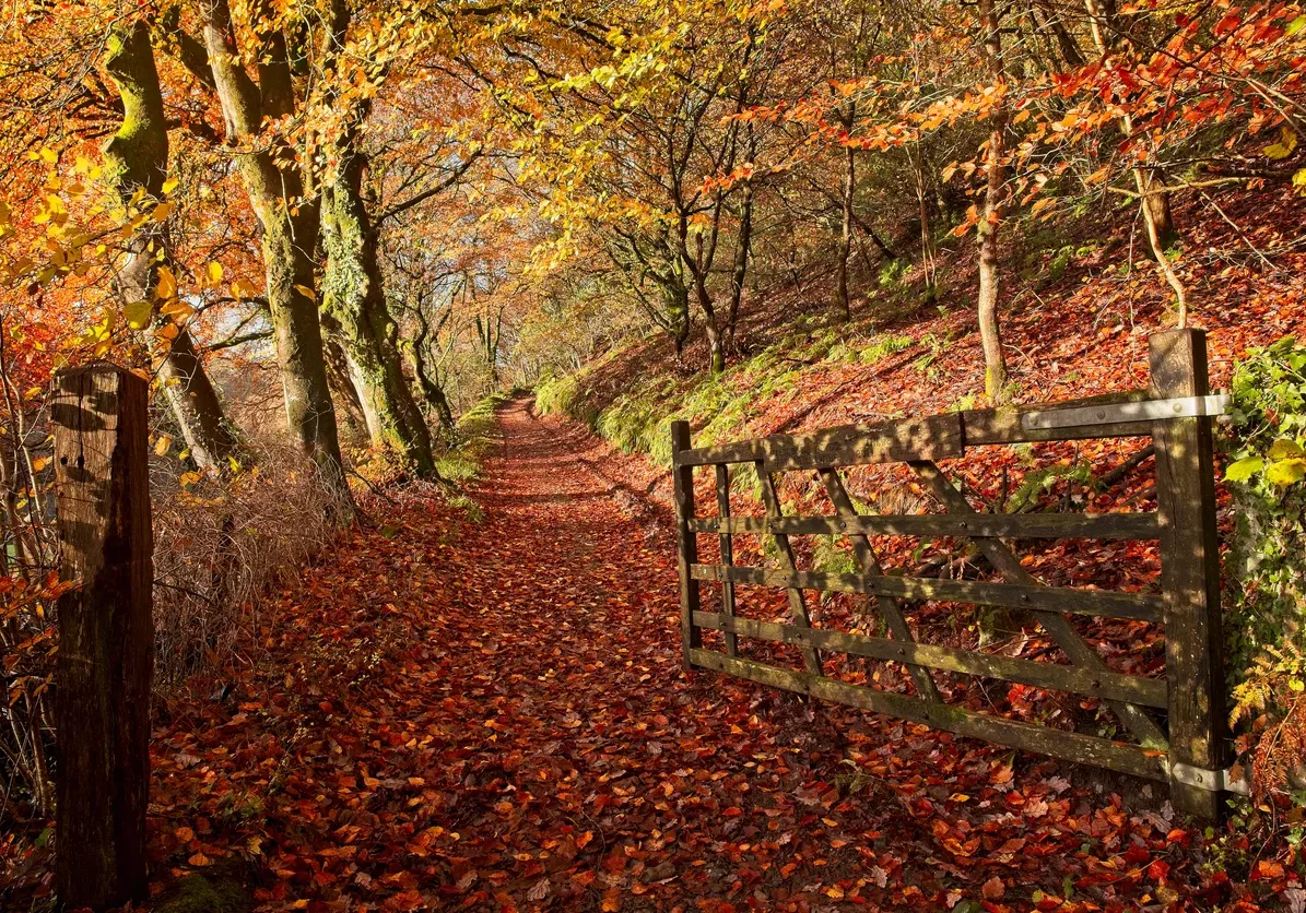 Most Visited Places for Autumn in Lancashire & Yorkshire