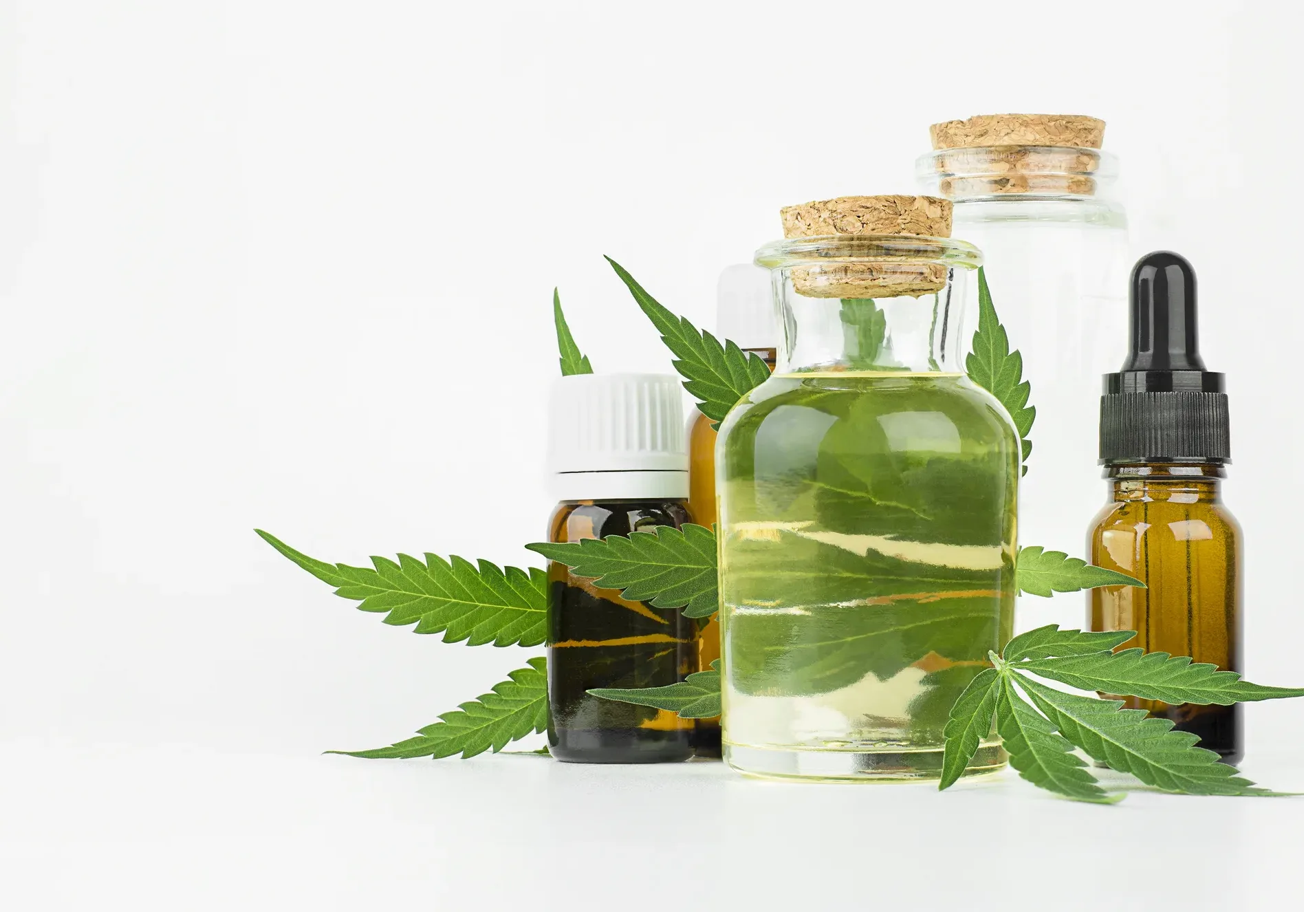 extract hemp oil in glass bottles and fresh hemp leaves on a light background. alternative medicine concept