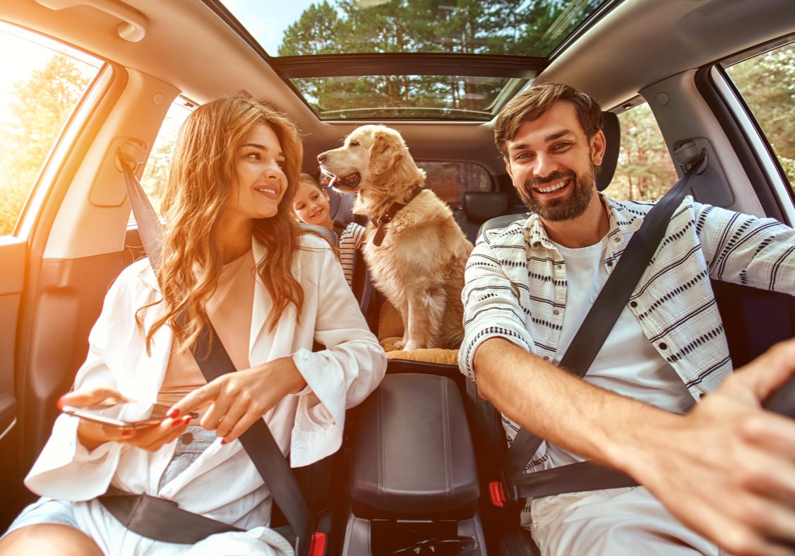 The whole family is driving for the weekend. Mom and Dad with their daughter and a Labrador dog are sitting in the car. Leisure, travel, tourism.