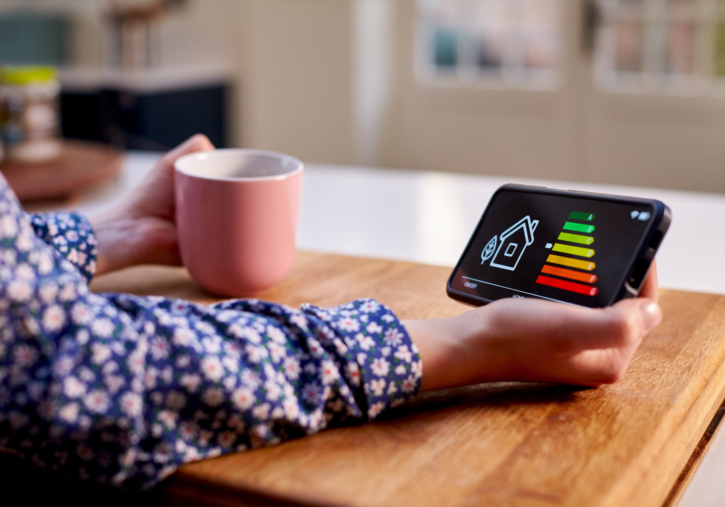 Close Up Of Woman Holding Smart Energy Meter In Kitchen Measuring Energy Efficiency