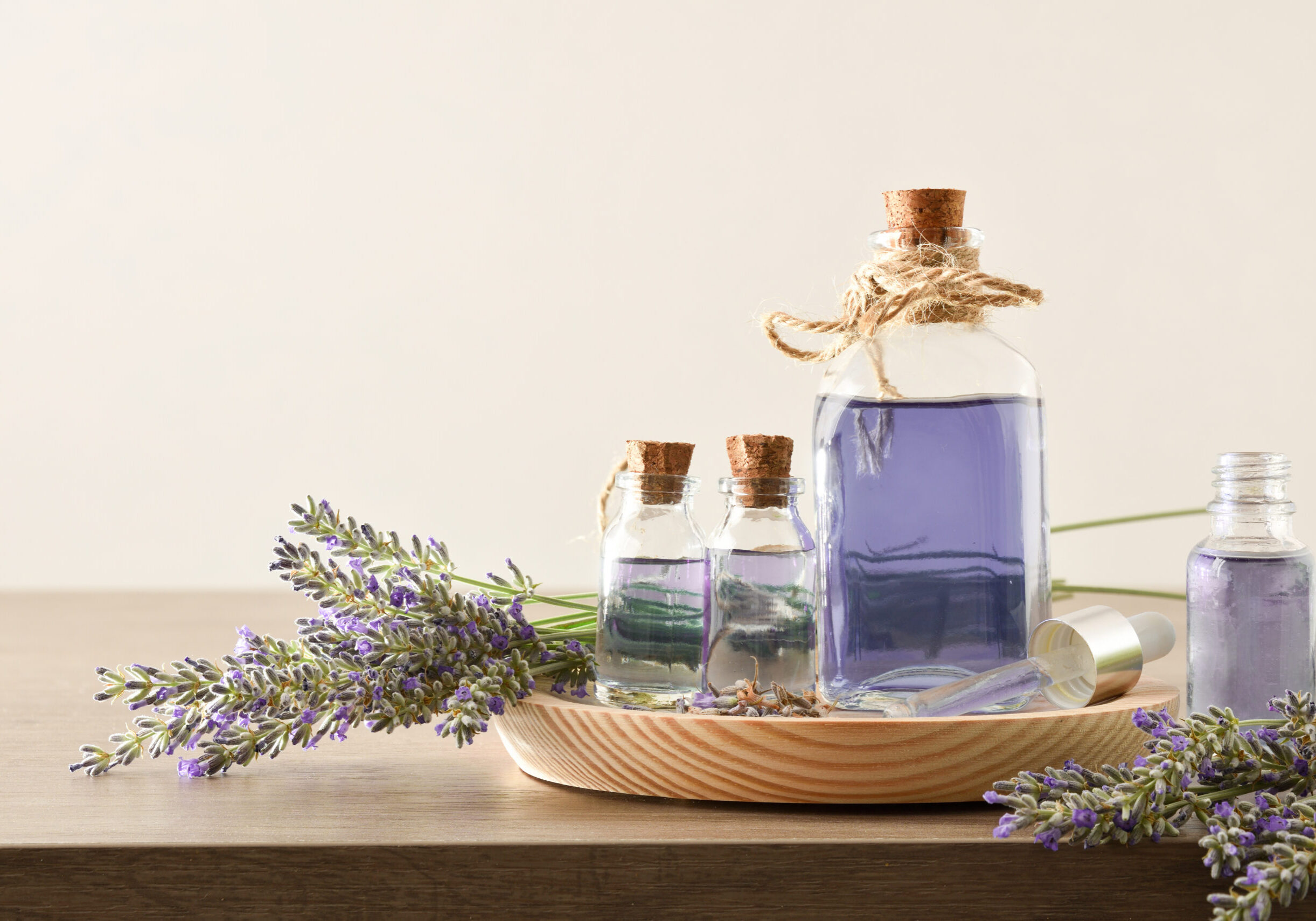Natural perfume with lavender essence background in bottles and bouquets of spikes around on wooden table and white isolated background. Front view. Horizontal composition.