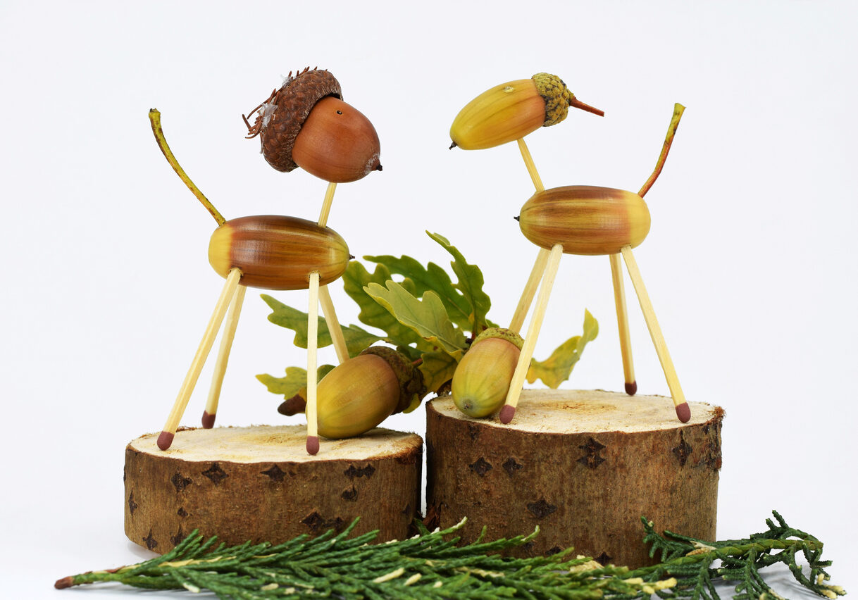 Cute animal figurines made of acorns, standing on wooden cut platforms with oak branch, white background