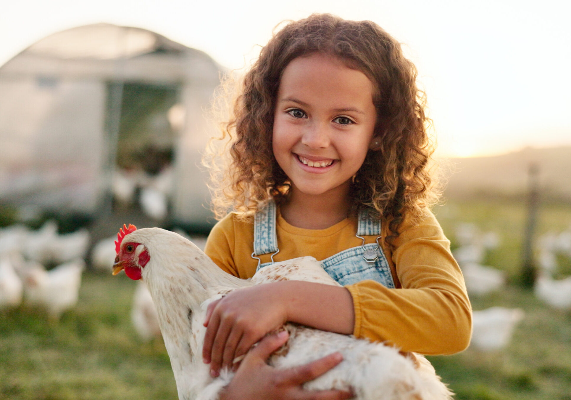 Chicken, smile and girl on a farm learning about agriculture in the countryside of Argentina. Happy, young and sustainable child with an animal, bird or rooster on a field in nature for farmingChicken, smile and girl on a farm learning about agriculture i