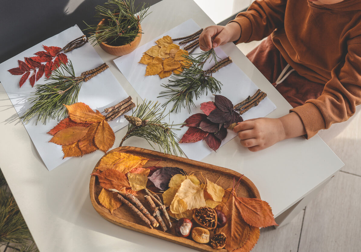 Children's creativity, child's study of natural materials