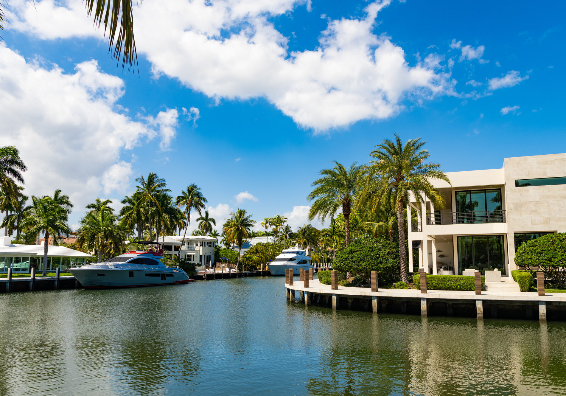 Harbor with yacht at seaside summer destination. Seaside summer destination with boat and palm in harbor. Seaside harbor perfect destination for summer. Destination point.