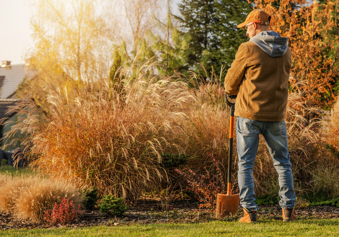 Autumn gardening
