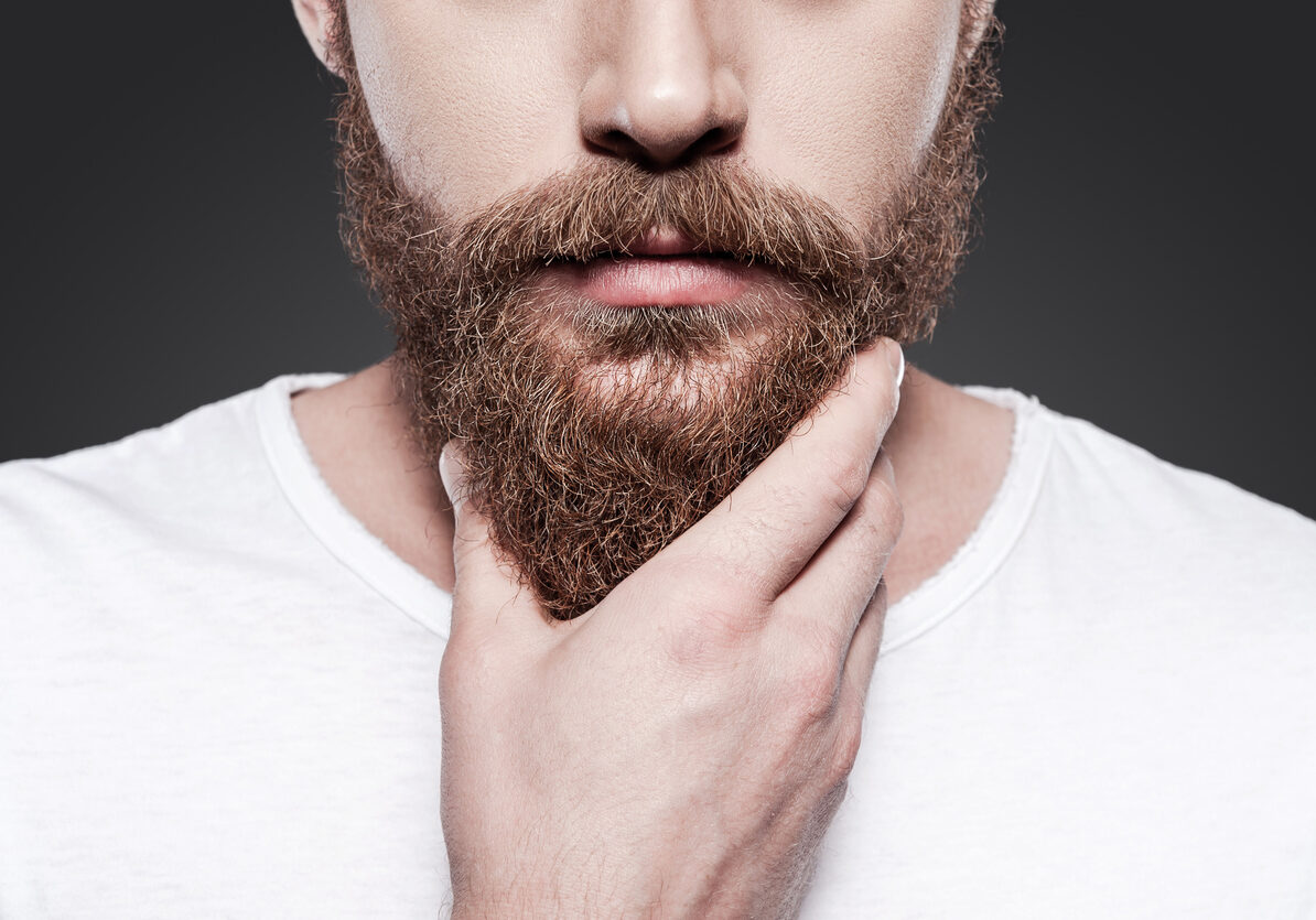 Close-up of young bearded man touching his beard while standing against grey background