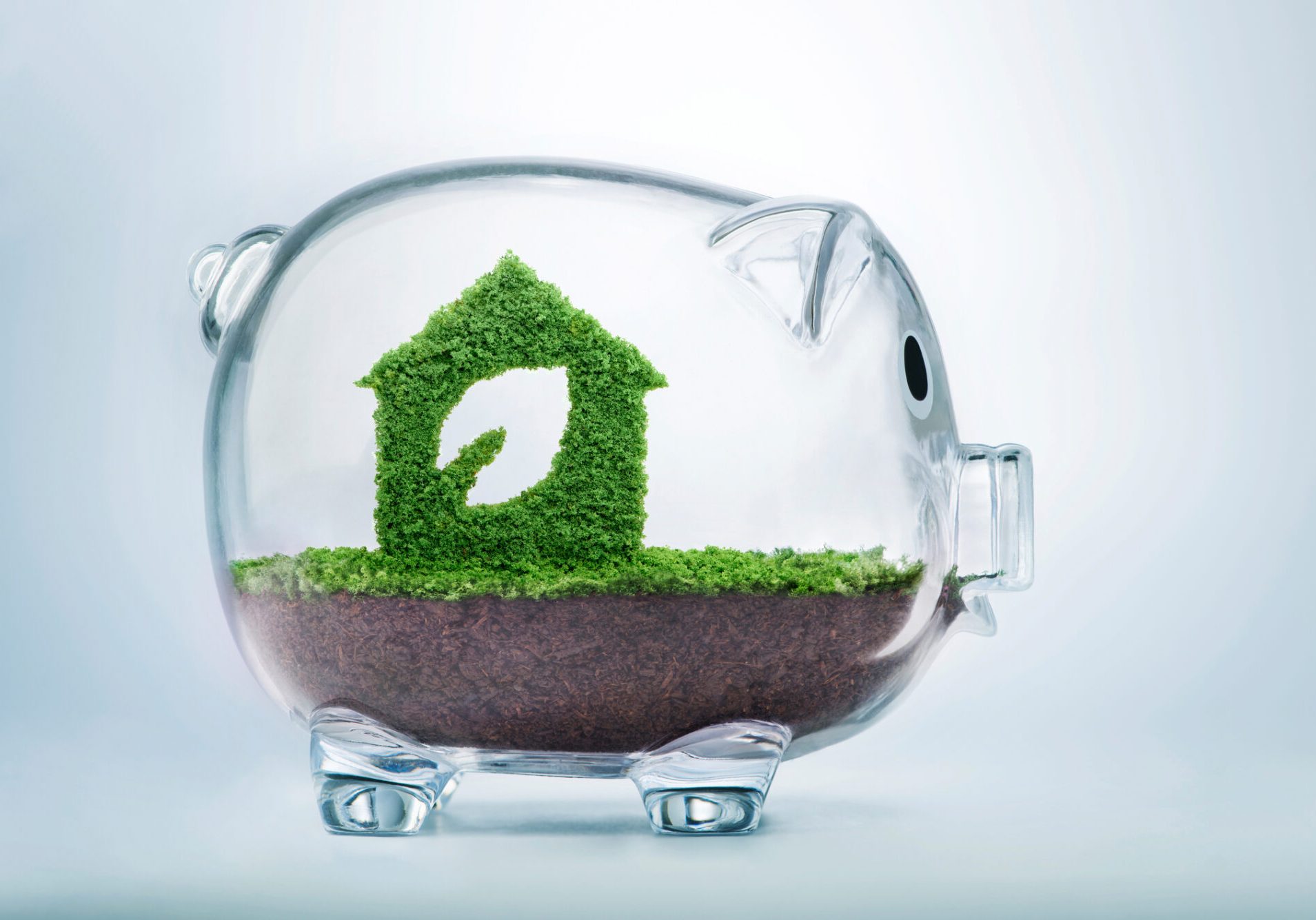Nature is home concept. Grass growing in the shape of a house with a cut out leaf, inside a transparent piggy bank, symbolising the need to invest in sustainable homes, to protect the environment and to reconnect with nature.