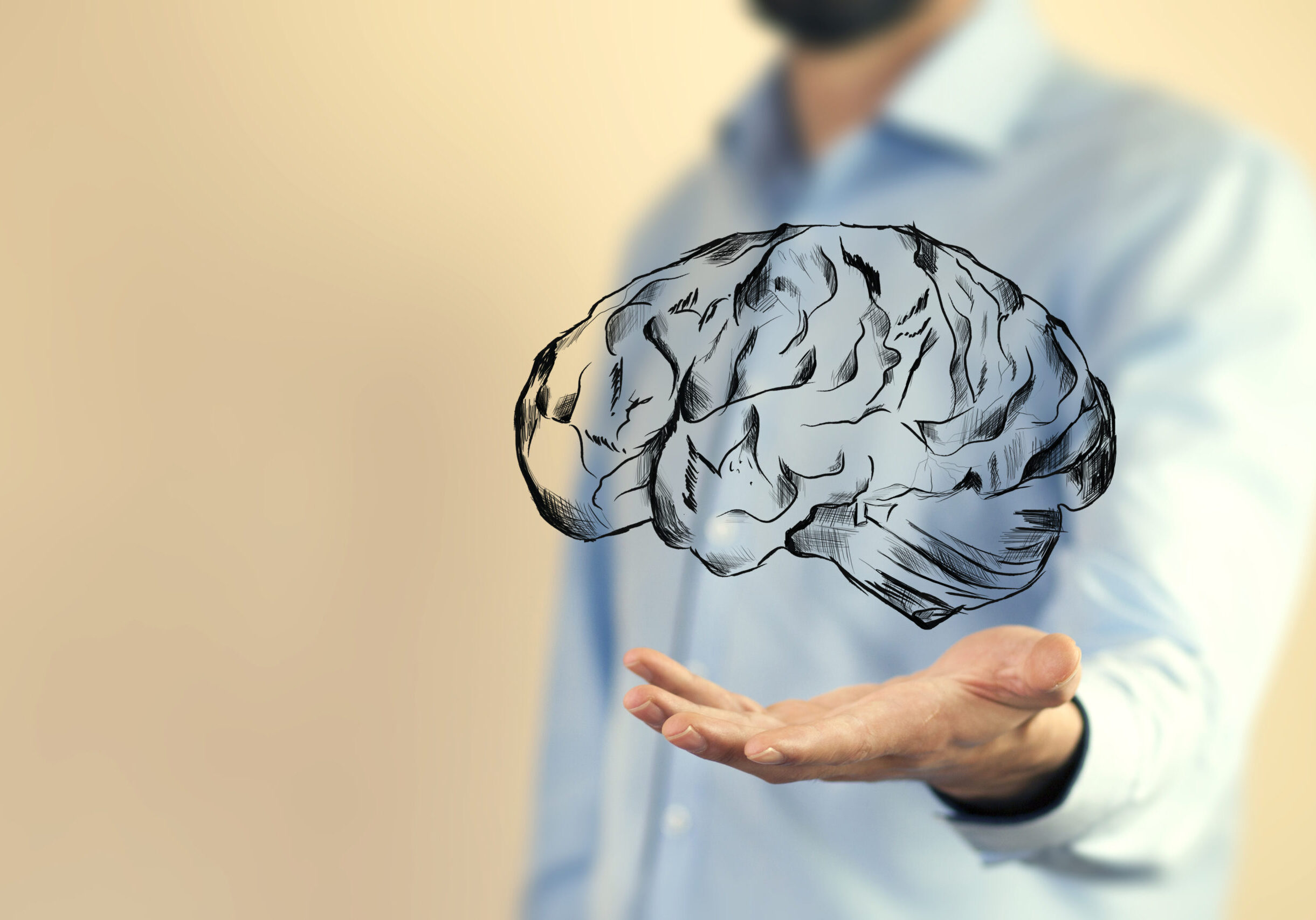 Close up of businessman hand holding brain in palm