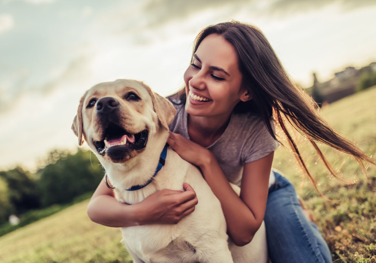 Attractive young woman with labrador outdoors. Woman on a green grass with dog labrador retriever.