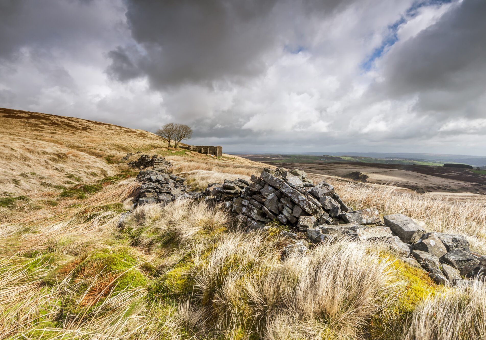 the derelict farmhouse of top withens associated with wuthering heights in the novel of the same name by emily bronte