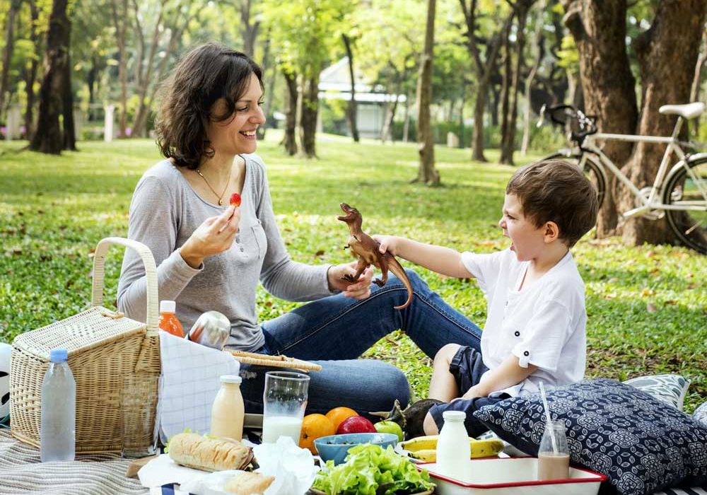 National picnic week