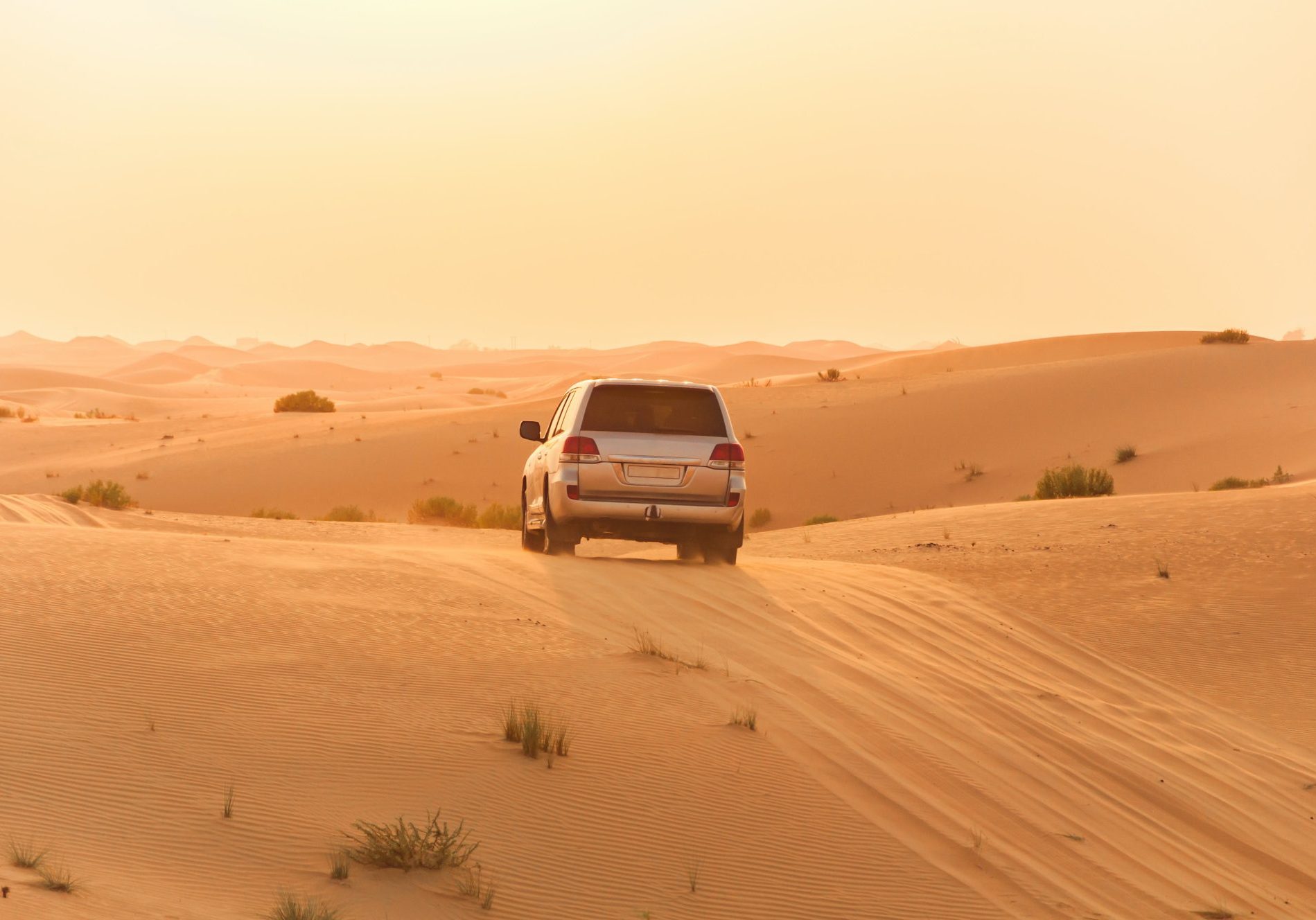 pexels-sergo-karakozov-3684847