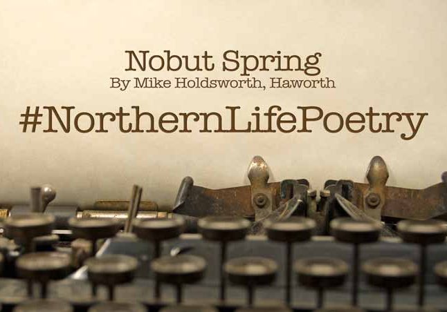 Nobut Spring Poetry