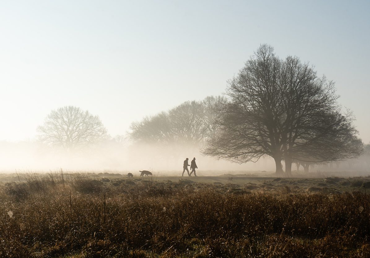 walking in the countryside